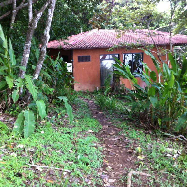 Howlers Bay Hotel Boca Chica Exteriör bild